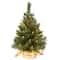 24" Pre-Lit Majestic Fir Tree In Gold Cloth Bag, Clear Lights